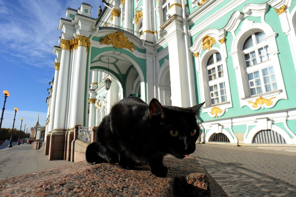 Život mačaka u Ermitažu