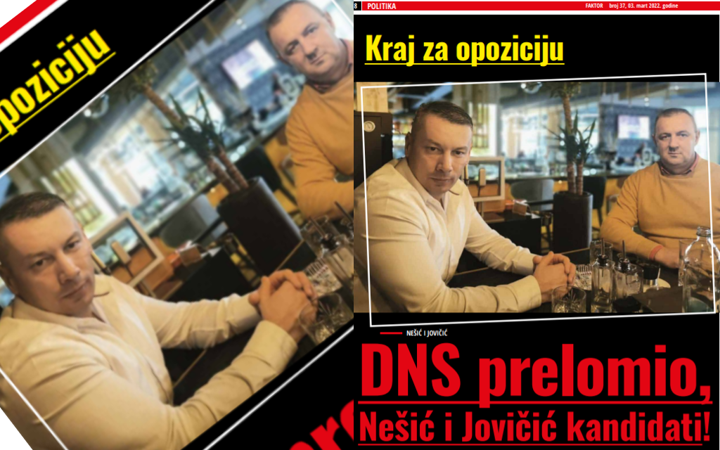 Nešić i Jovičić kandidati DNS-a