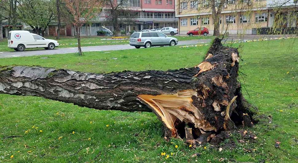 Nevrijeme u Prijedoru – Vjetar čupao drveće, krovovi odletjeli u vadzuh