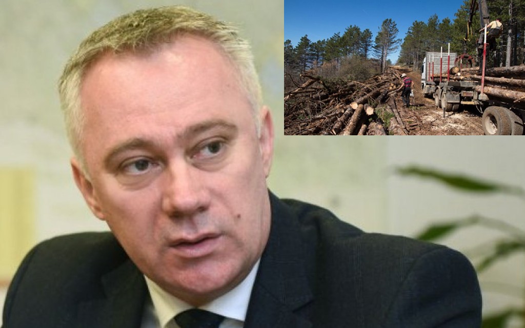 Dosta problema u JP Šume Srpske – Šumska gazdinstva postala predmet političkog potkusurivanja