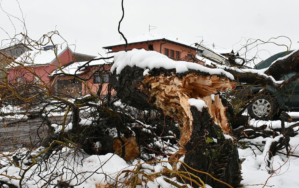 Nevrijeme u Hrvatskoj: Stabla padala na vozila, građani bez struje