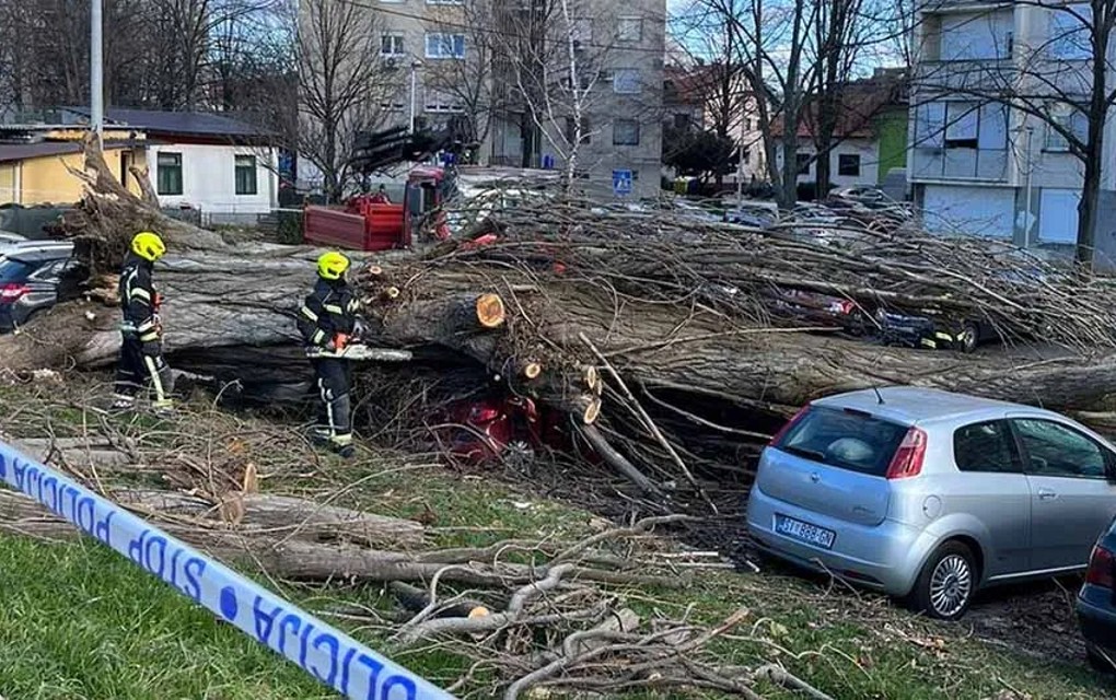 Olujno nevrijeme pravi probleme u Hrvatskoj: Vjetar čupao stabla