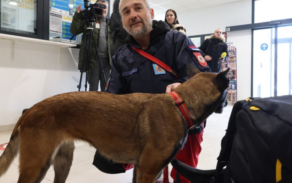 POVRIJEDILA SE NA RUŠEVINAMA Hrabroj Tori, psećem članu srpskog tima u Turskoj, pružena medicinska pomoć