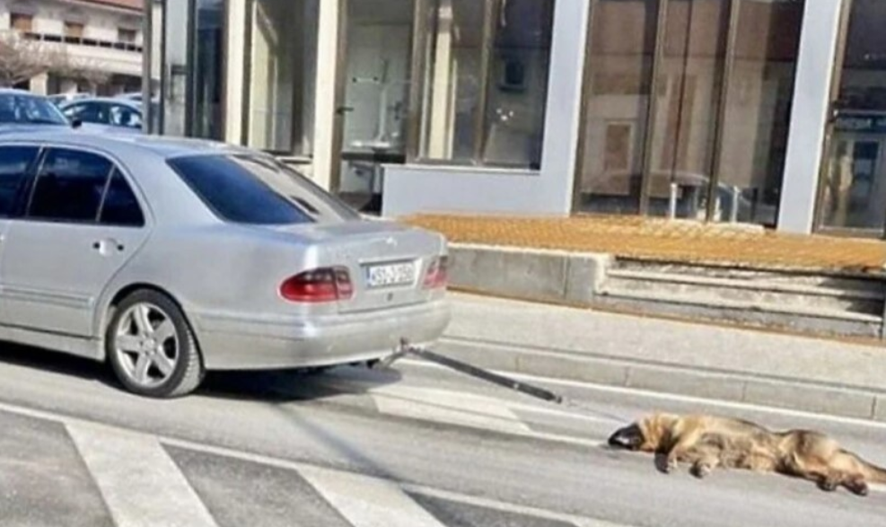 UŽAS U POSUŠJU: Zavezao psa za auto i vukao ga po cesti