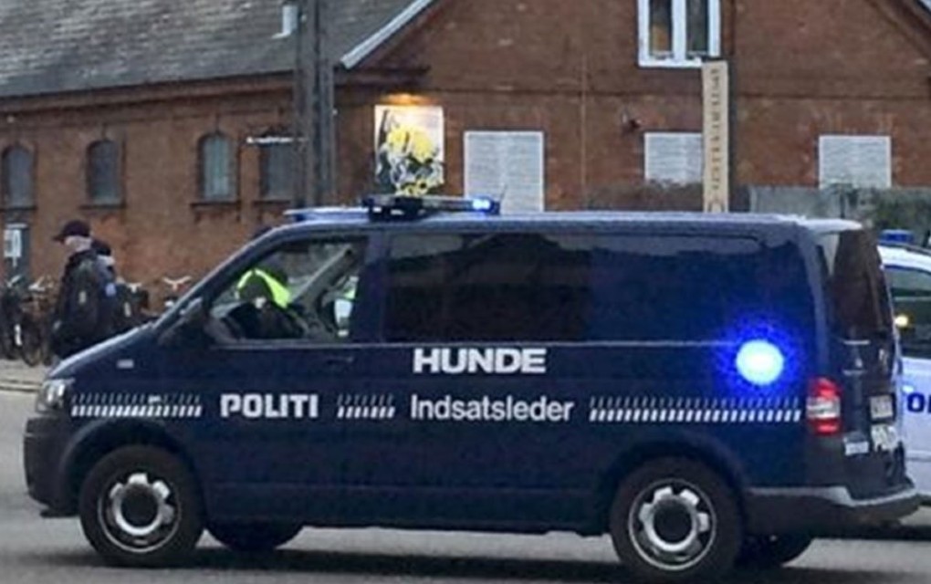 Dvojica srpskih mladića ubijena u Danskoj