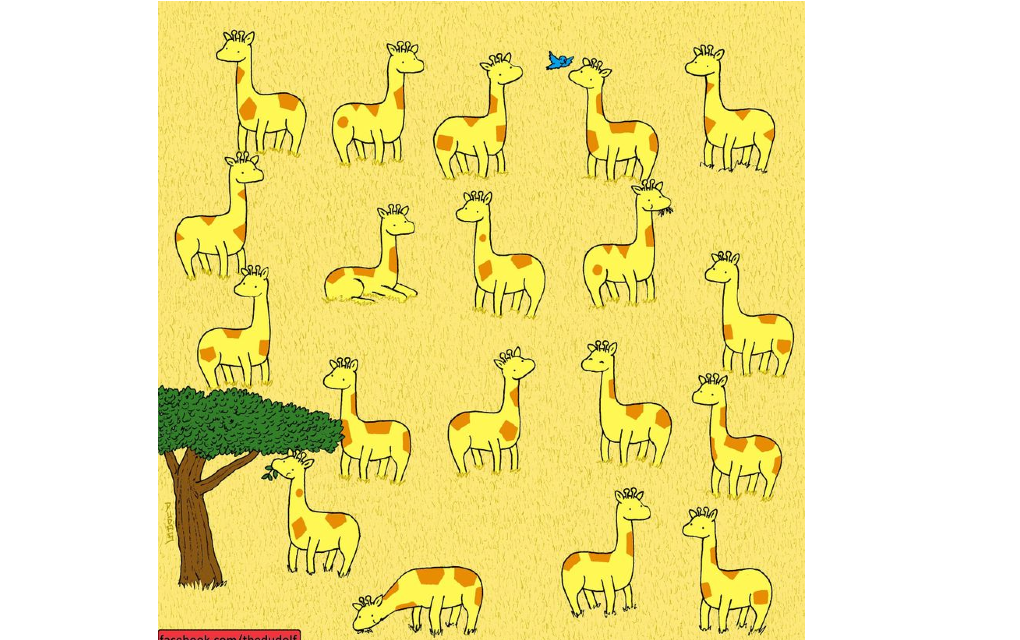 Pokušajte da za manje od 13 sekundi pronađete žirafu koja nema para