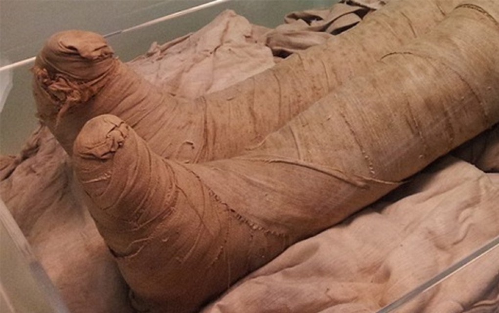 Dostavljač nosio drevnu mumiju u rashladnoj torbi