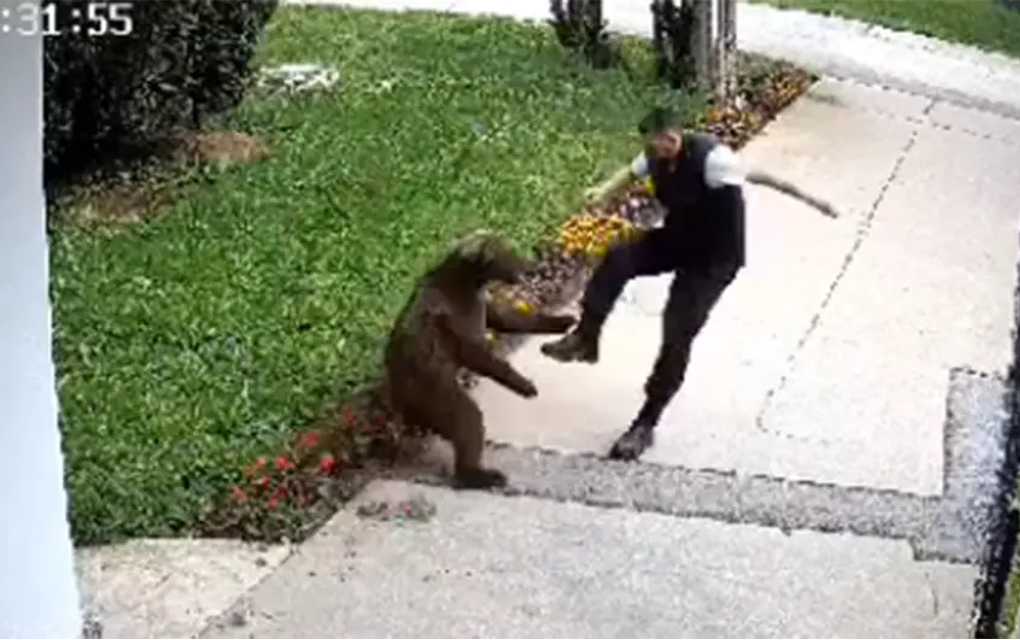 Medvjed napao muškarca u Bugojnu