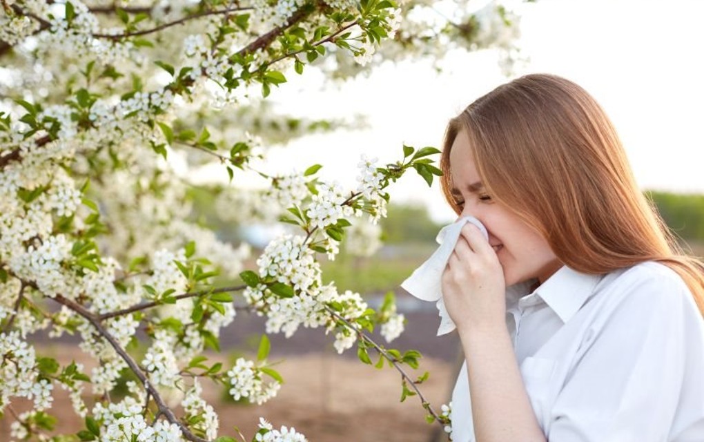 Alergija, glavobolja, pad energije…Tri najčudnija savjeta koja pomažu!