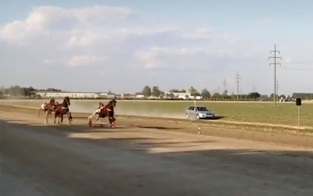 Najbolji konj Nikole Jokića u finišu izgubio trku za pehar