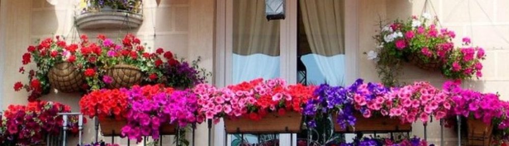kako-ukrasiti-balkon-sa-cvijecem