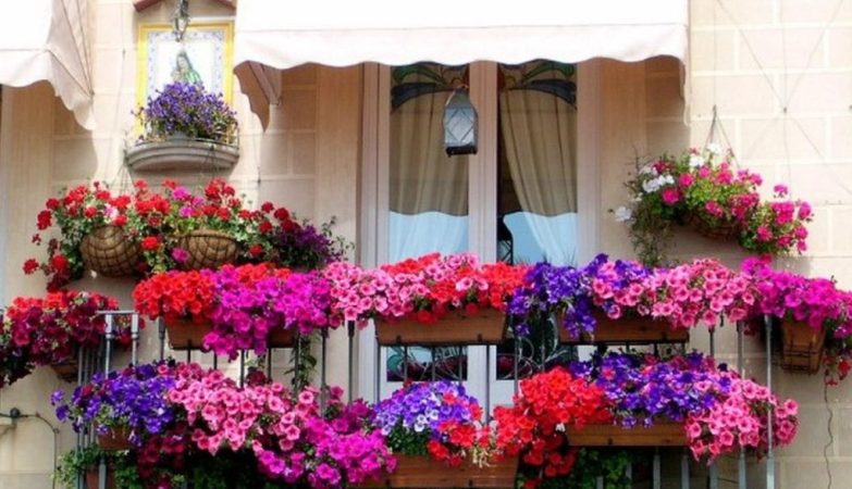 kako-ukrasiti-balkon-sa-cvijecem