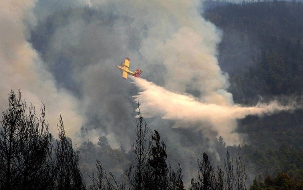 Požar na Svetoj Gori: Vatru gase četiri kanadera i helikopter