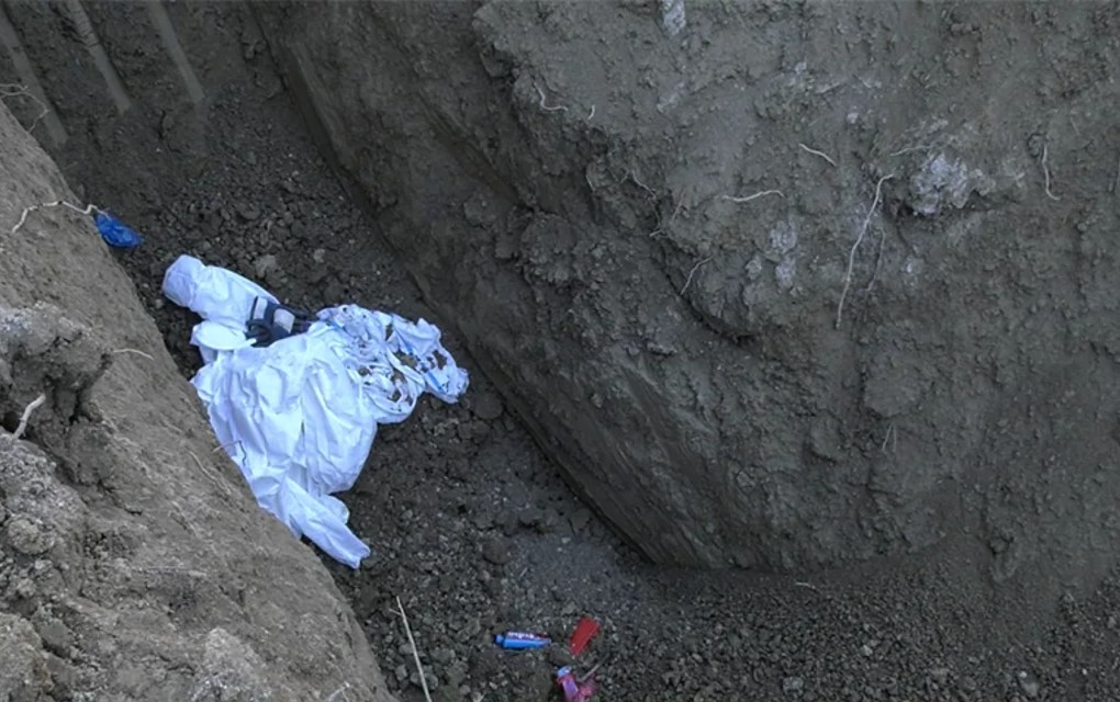 Užas u Bijeljini: Jama gdje se sahranjuju svinje uginule od afričke kuge otvorena, širi se nesnosan smrad