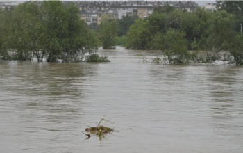 rijeka Sava