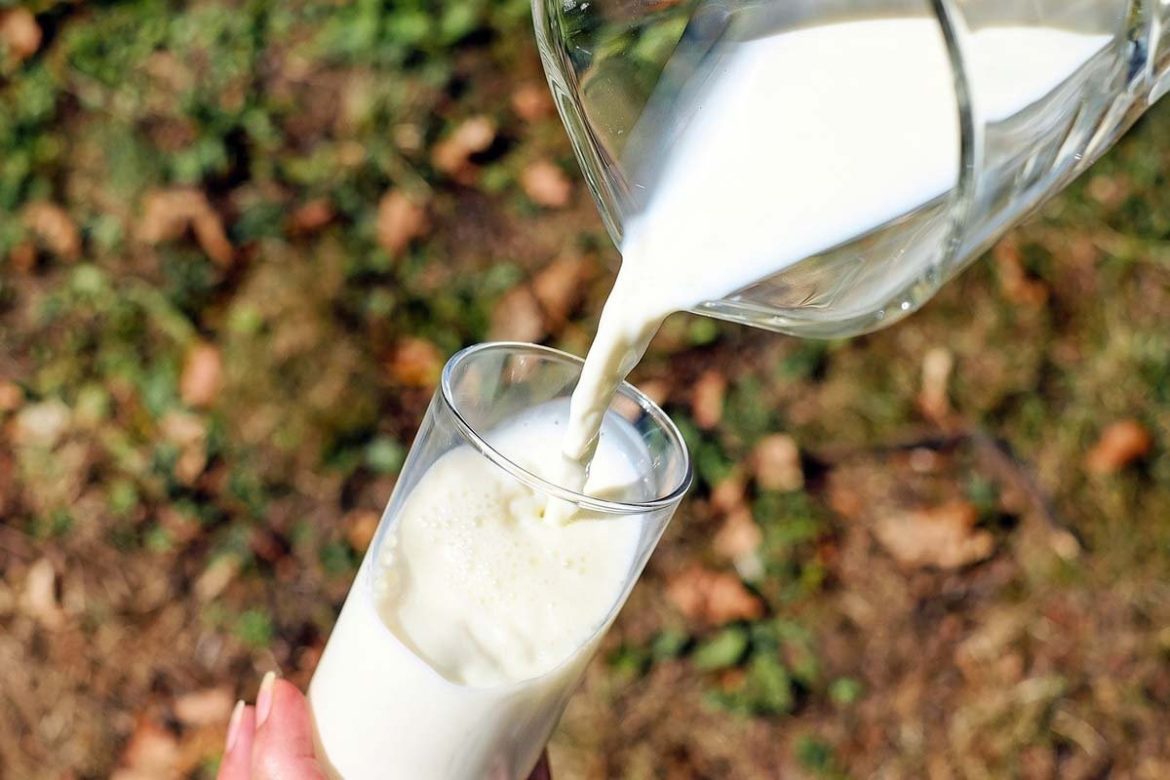 Proizvodnja mlijeka za piće za godinu dana pala gotovo 25 odsto