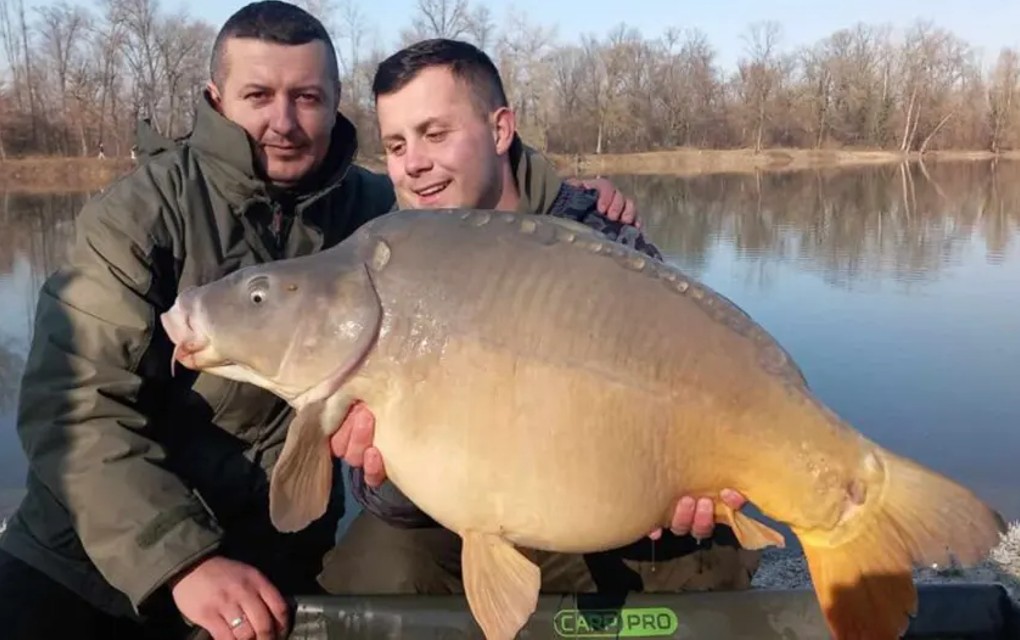 Jezero Laminci – Ulovljen ŠARAN KAPITALAC