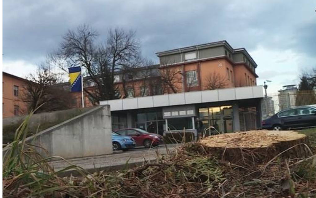 Ko je i zbog čega uklonio stabla ispred pravosudnog kompleksa u Sarajevu?