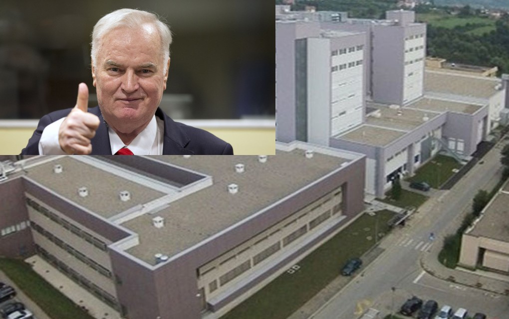 Ljekari iz Srpske će pregledati Ratka Mladića