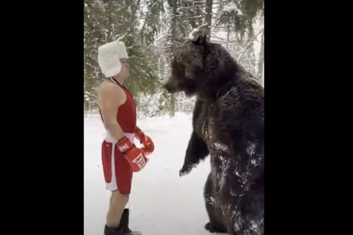 Bokser za sparing partnera izabrao medvjeda