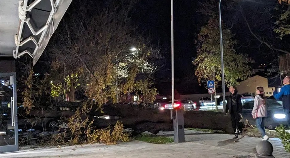 Vjetar oborio dio stabla na vozila u Banjaluci