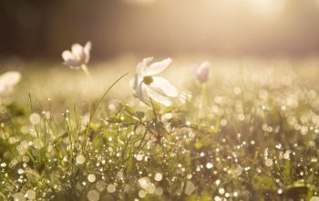 U ponedjeljak sunčano i veoma toplo