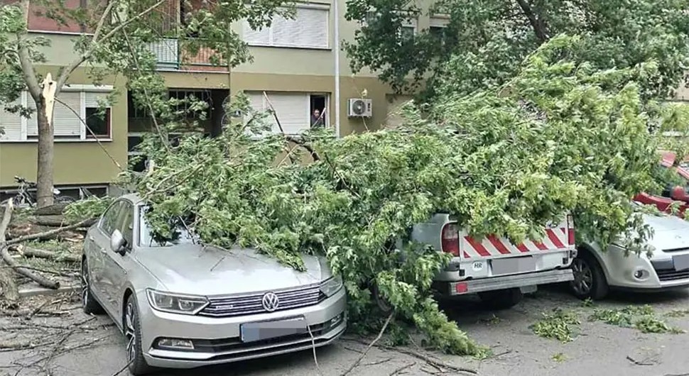 Haos u Hrvatskoj zbog nevremena: Iščupana stabla i snijeg