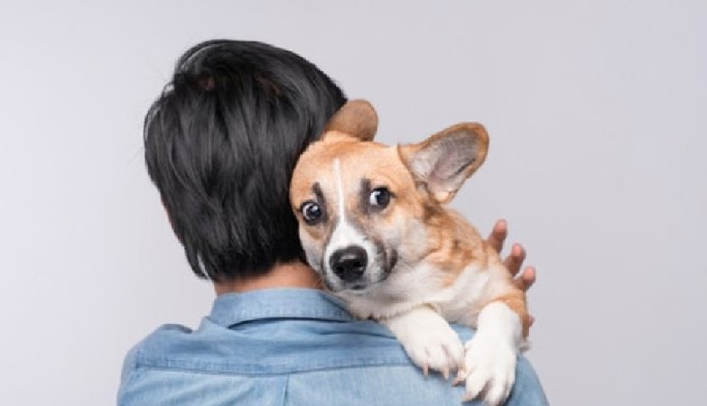 Zašto ne biste trebali grliti svog psa