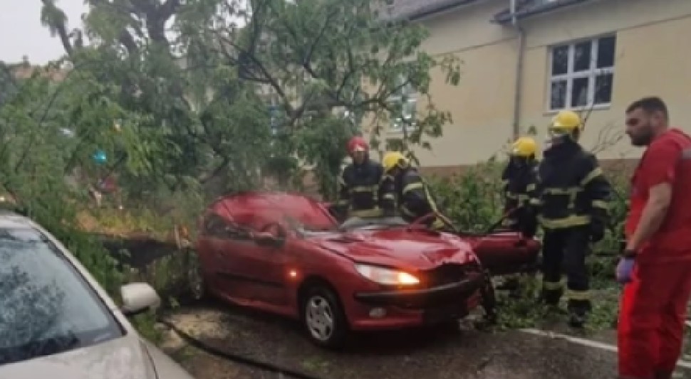 Žena na mjestu OSTALA MRTVA: Drvo palo na AUTOMOBIL, teško nevrijeme pogodilo Srbiju