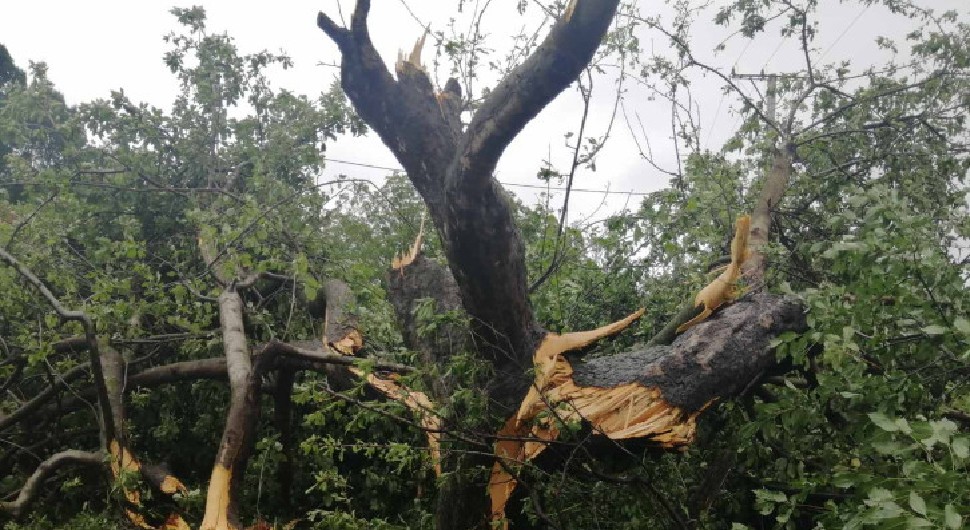 Nezapamćeno nevrijeme kod Gradiške: Vjetar oštetio krovove i usjeve, obarao drveće