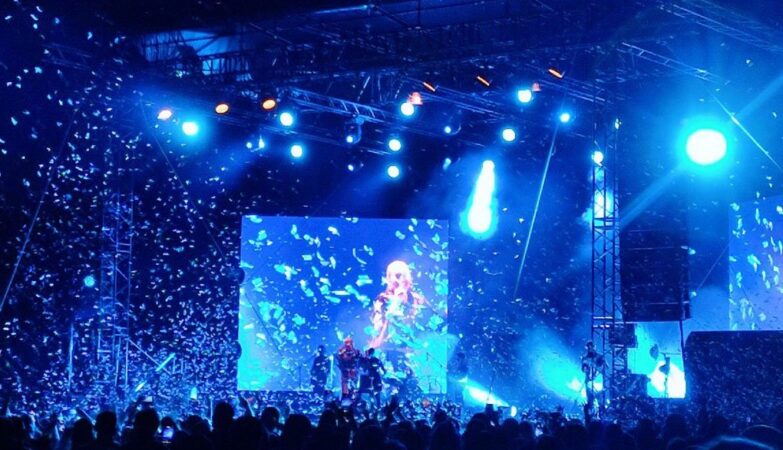 Lepa Brena napravila haosu Drvaru