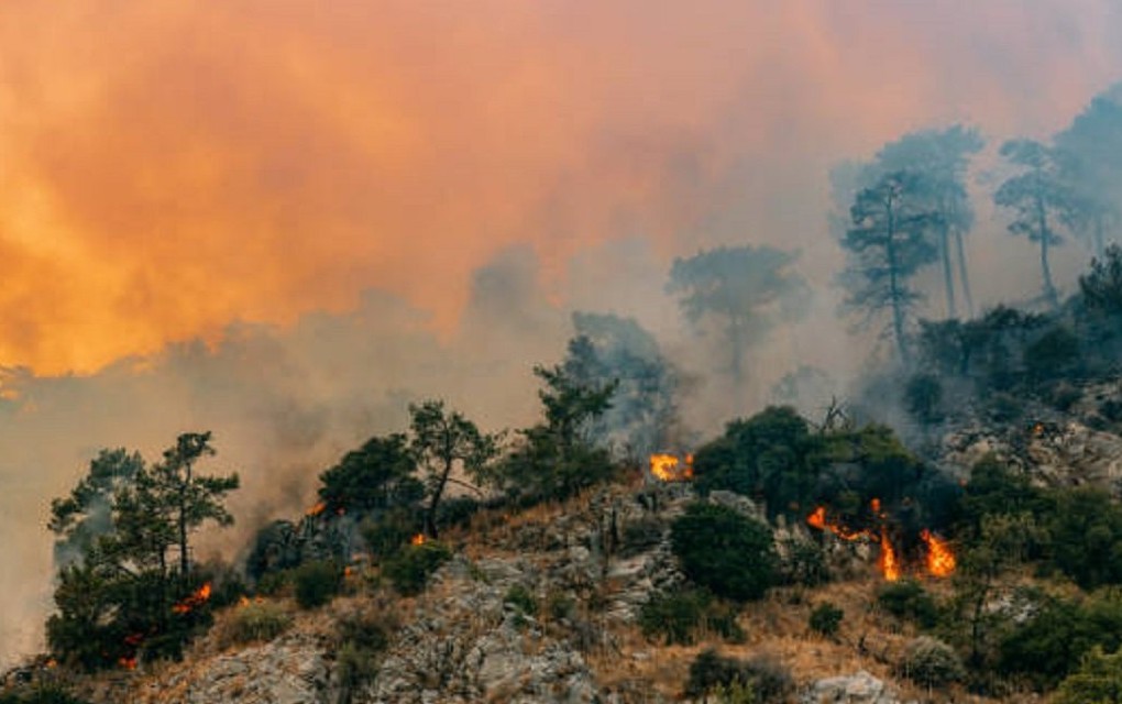 Razbuktao se požar kod Skradina: Izbio novi požar kod Šibenika, Gori i Biokovo