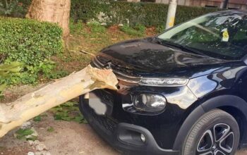 Ogranak zdravog stabla pao i oštetio automobil