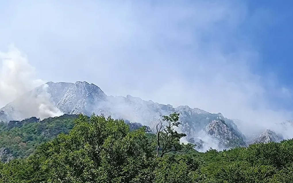 Ubrzana procedura u SM: Tražiće se međunarodna pomoć za gašenje požara