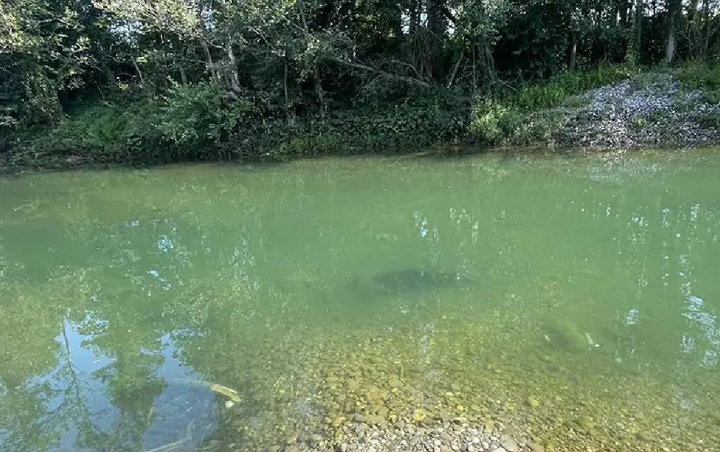 U Drini pronađeno jedanaesto tijelo migranta