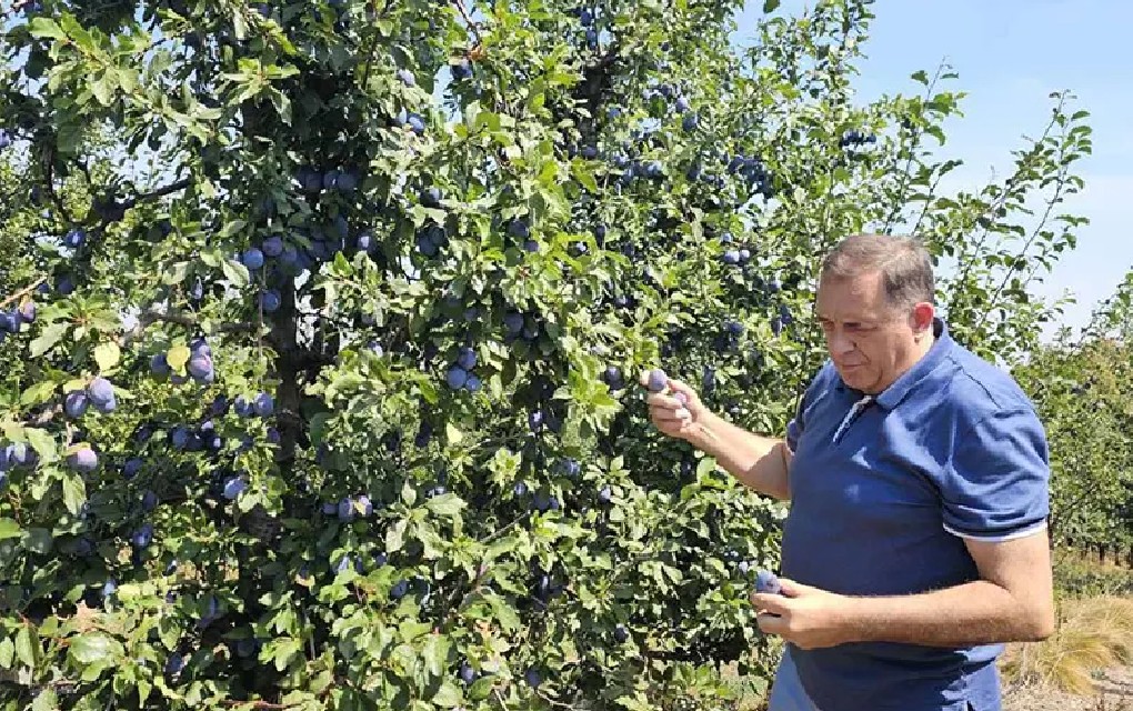 Dodik: Ponosan na naš narod koji radi na svojim imanjima