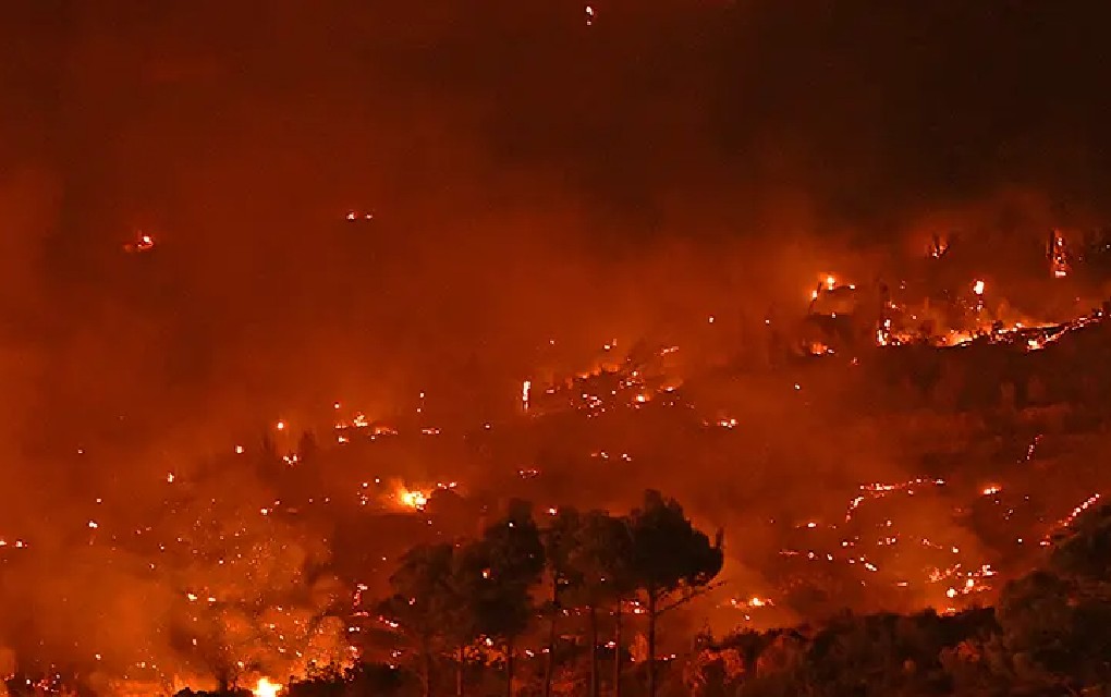 Ponovo buknuli požari u Gornjim Tučepima, Podgora Selu i na Biokovu