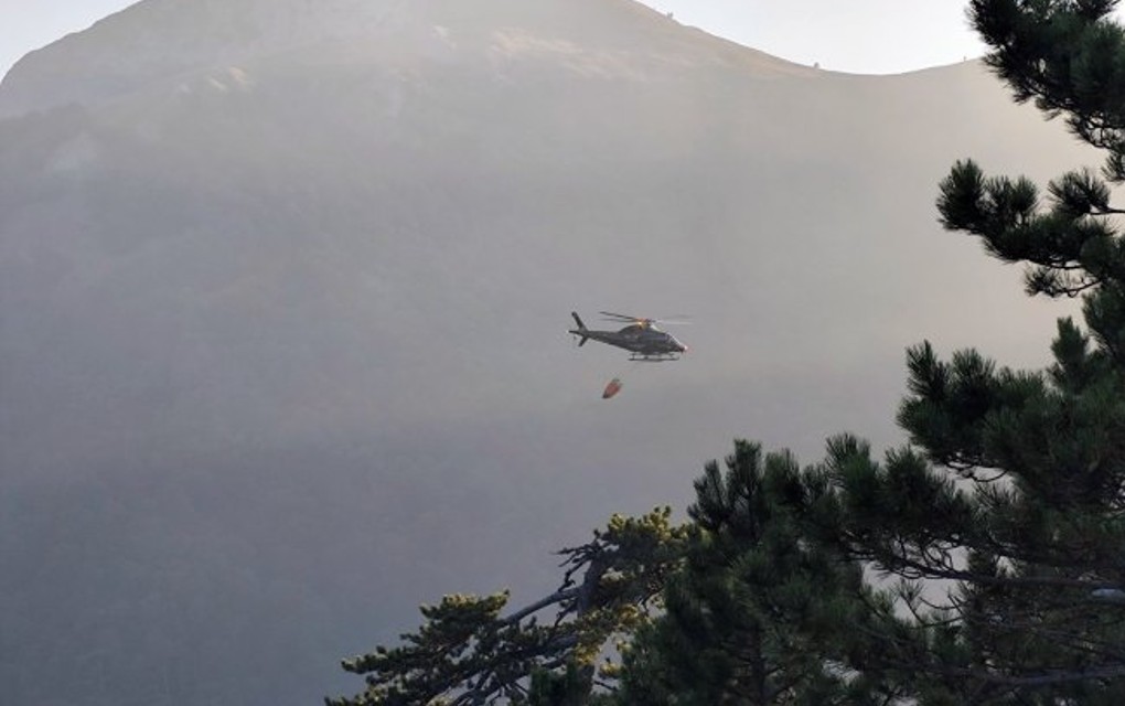 Vatra u Nacionalnom parku Sutjeska i dalje gori; Požar zahvatio i borovu šumu