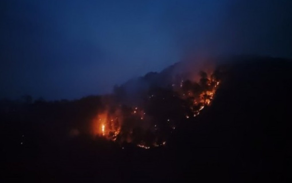 Požar u NP Drina ne jenjava, nadležni pozivaju u pomoć Helikopterski servis