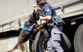 Vozač iz BiH “pao” sa 50 kilograma kokaina