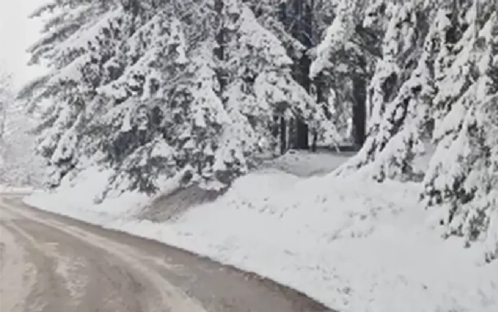 Snijeg napravio haos u dijelu Srbije, ljudi bez struje – šta očekuje BiH