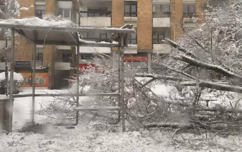 Stablo uništilo autobusko stajalište