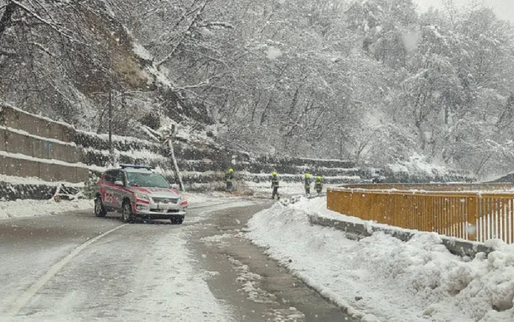 Palo drvo u Banjaluci, saobraćaj otežan