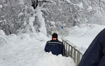 Kvarovi na velikom broju dalekovoda