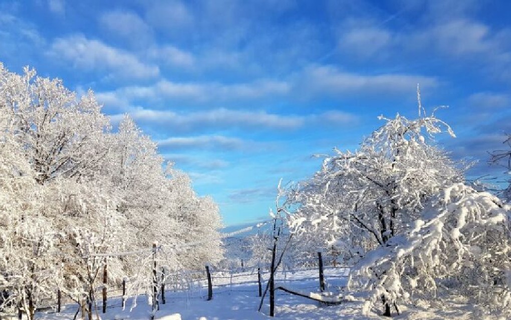 BH Meteo objavio prognozu: Kako će izgledati nastavak zime u BiH?