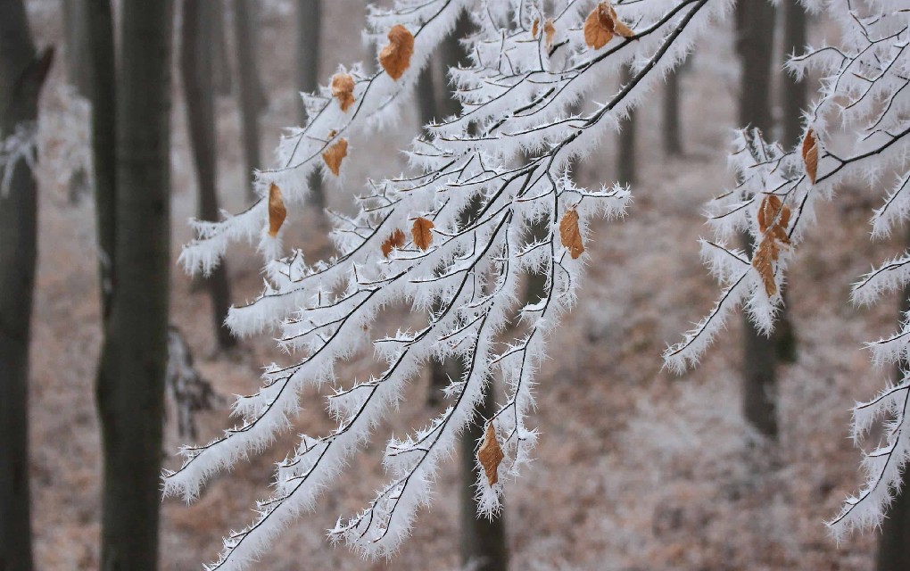 Kakvo vrijeme nas očekuje narednih dana: Meteorolozi najavili debeli minus