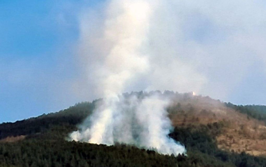 Požar u Petrovoćima, vatrogasci ne mogu da gase!