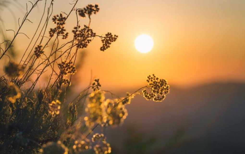 Narednih dana toplo i sunčano, temperatura do 20 stepeni