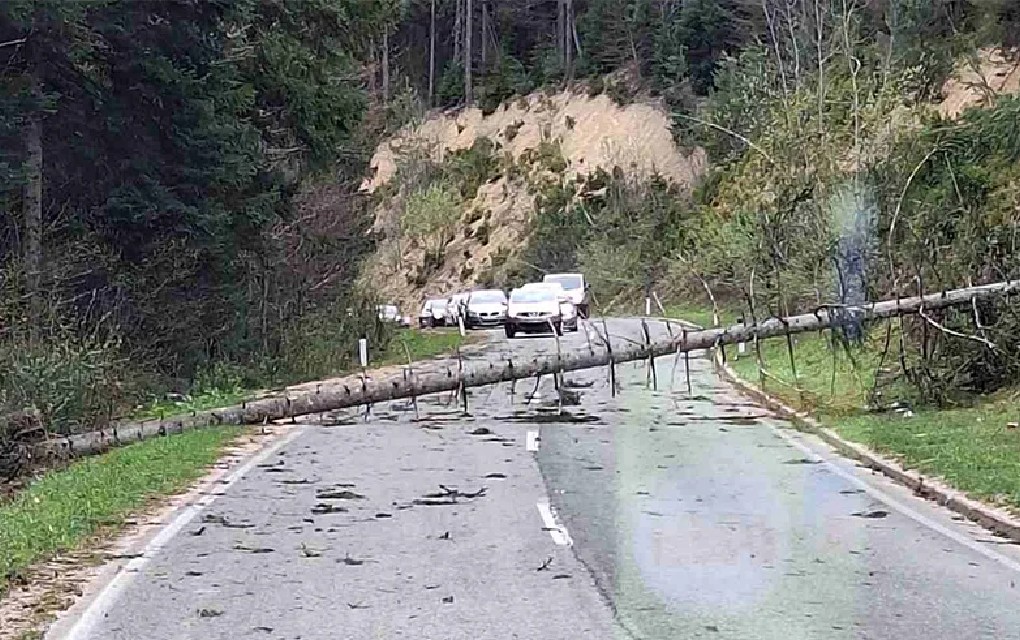 Vjetar pravi probleme: Drvo prepriječilo put