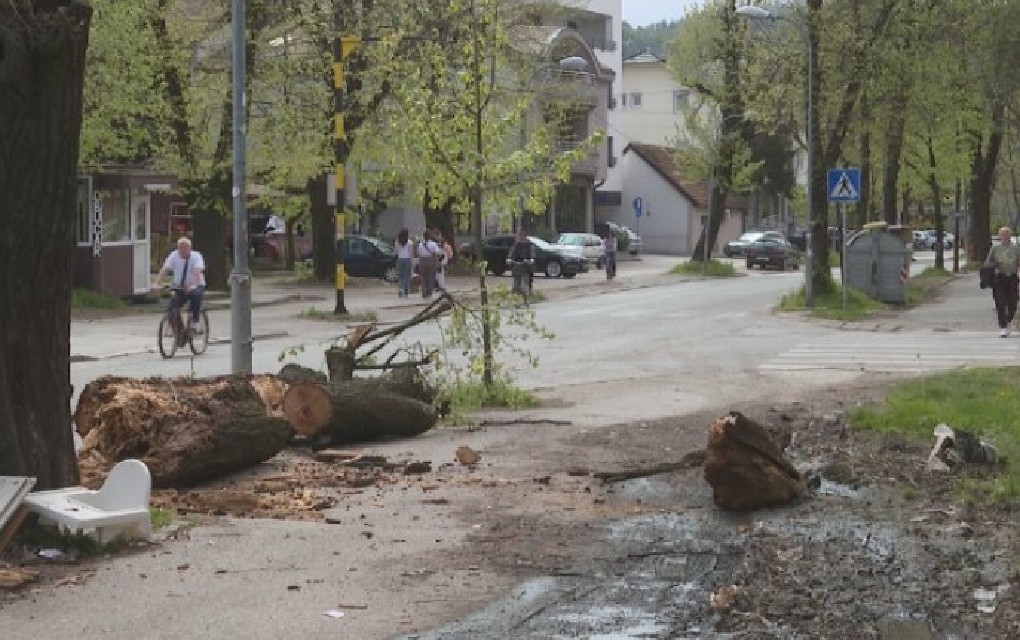Stara stabla postaju prijetnja